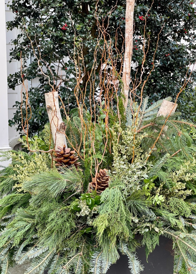 Pre-Made Holiday Planter