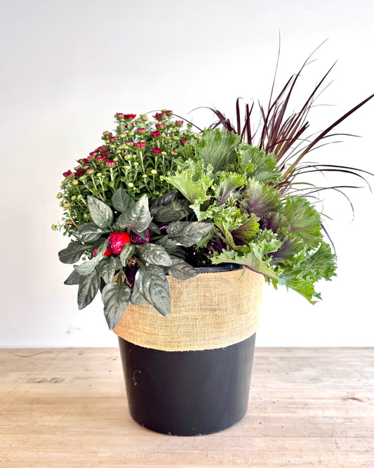 Pre-Made Fall Planter Inserts Regular