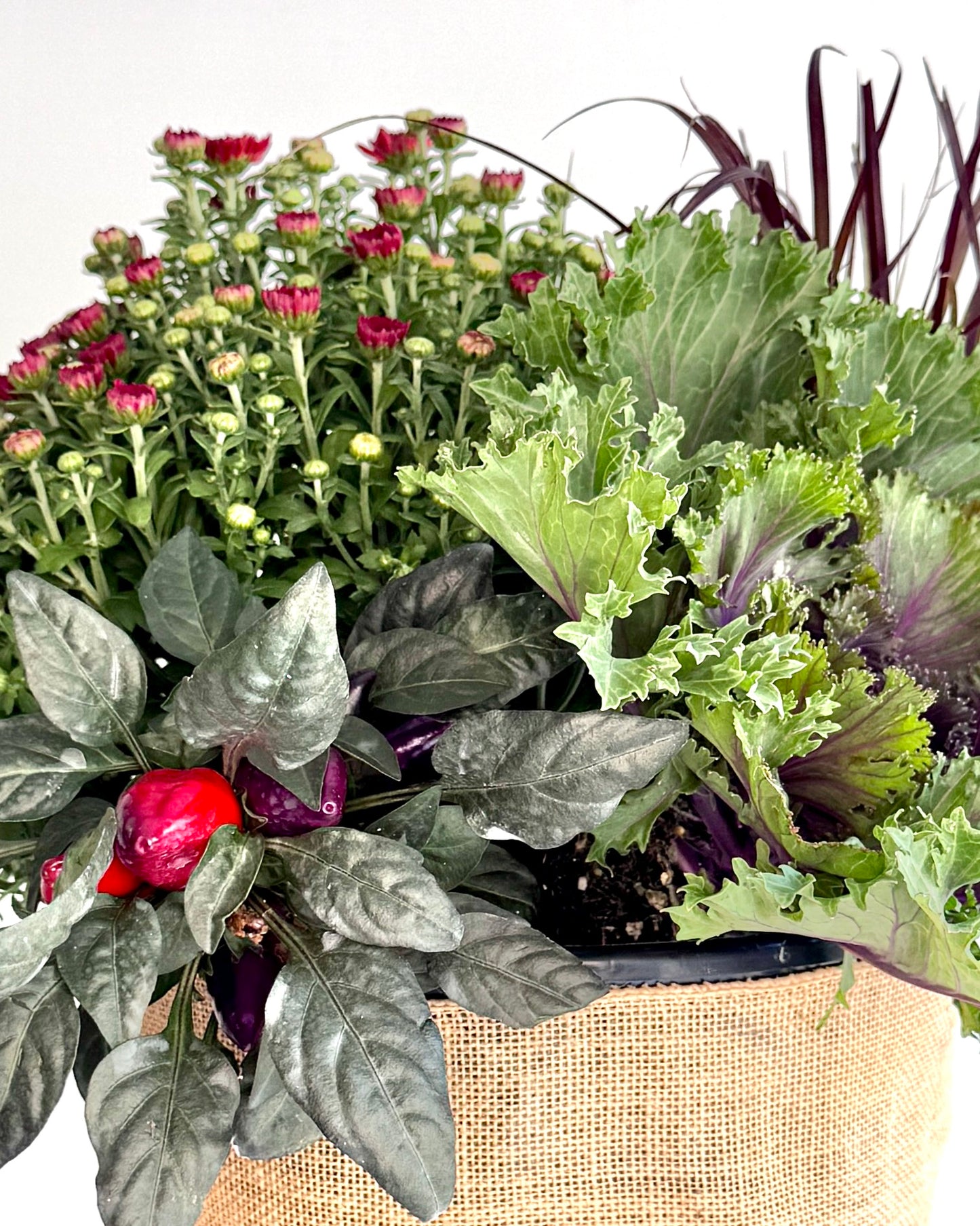Pre-Made Fall Planter Inserts Regular