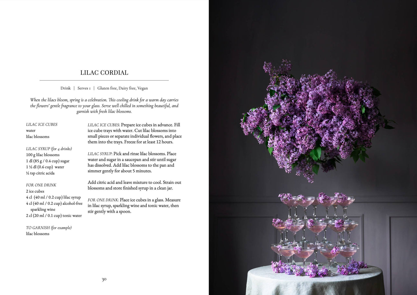 The Art of Fun Dining - Cookbook