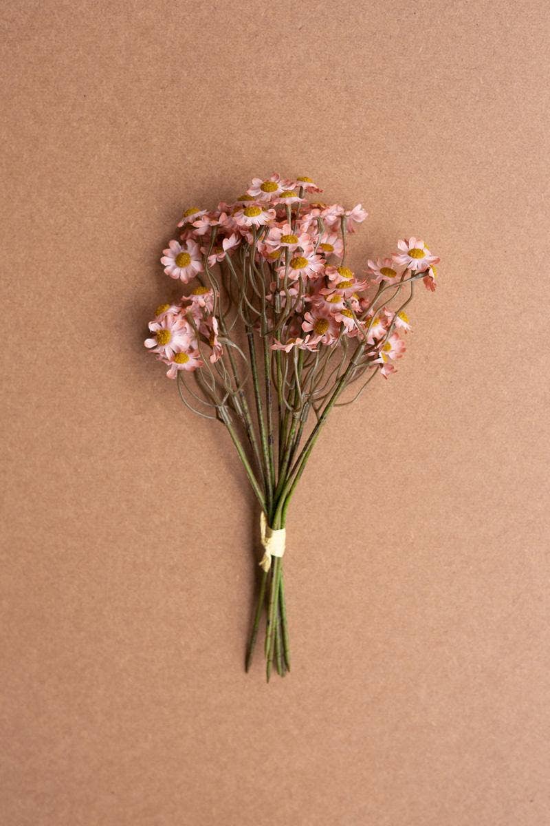 CHAMOMILE BUNDLE (6 STEMS) - BLUSH