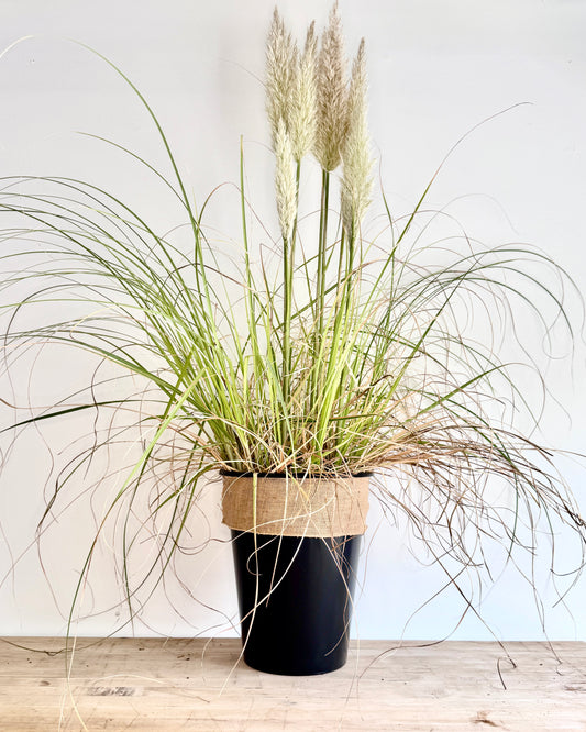 Pre-Made Fall Planter Inserts Tall Just the Grass