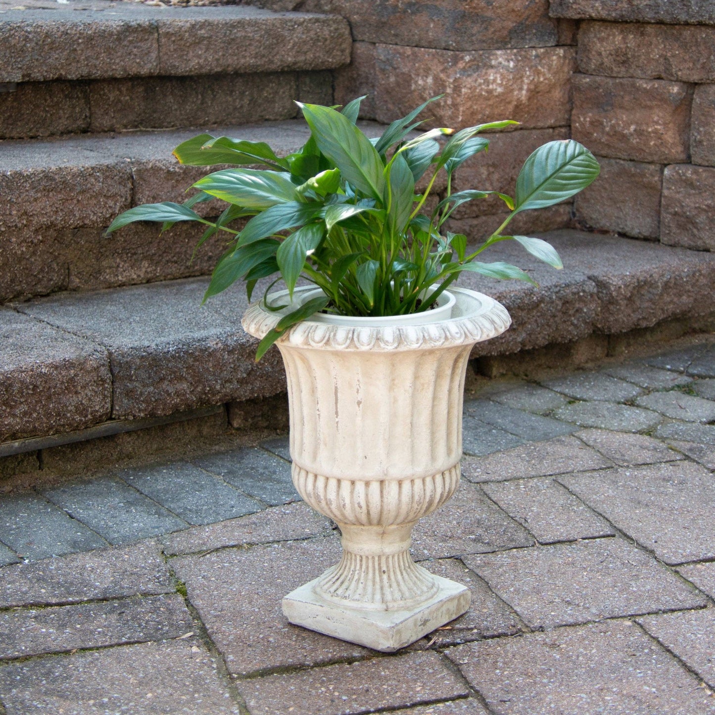 Cement Planter