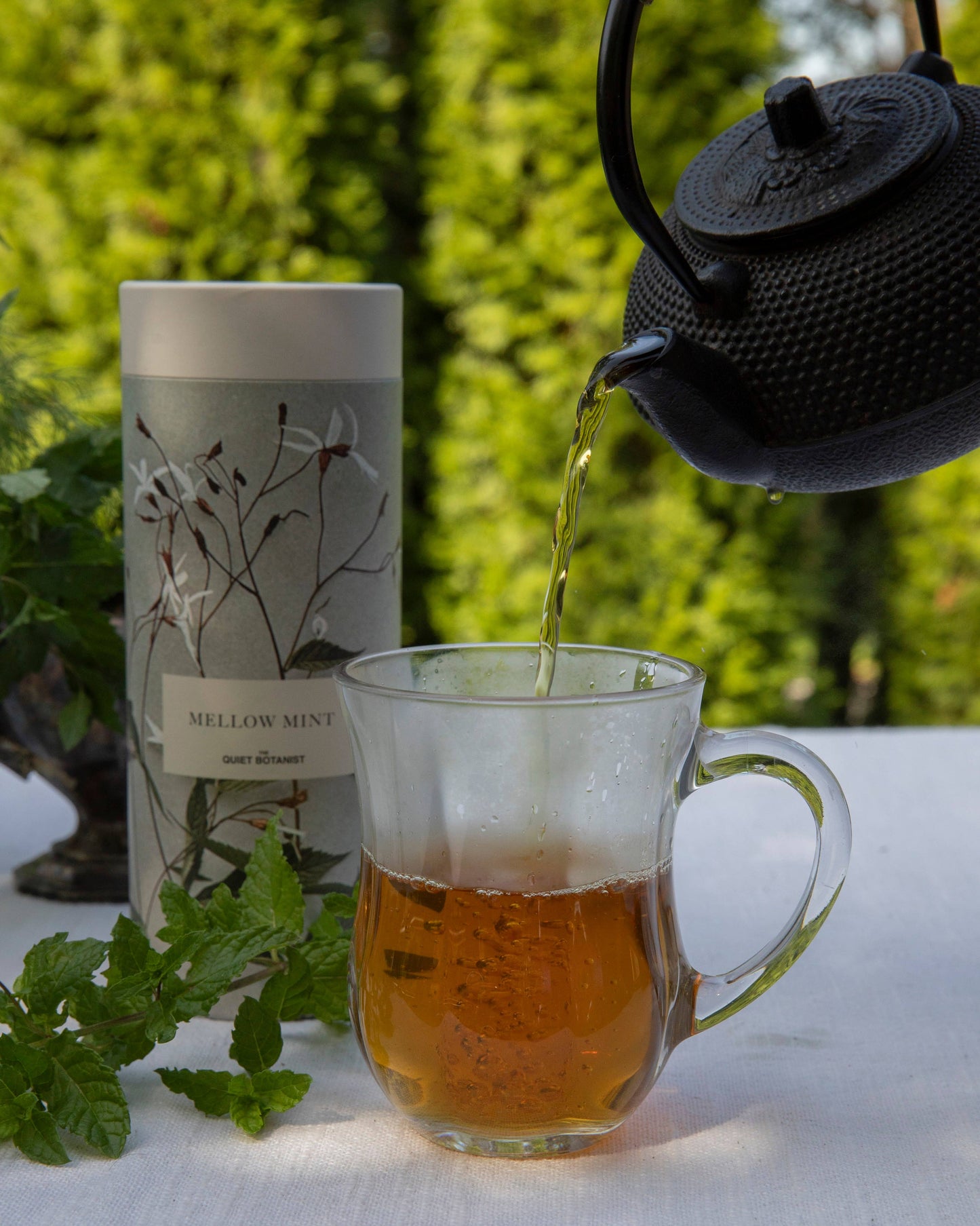 Mellow Mint Tea Gift Set
