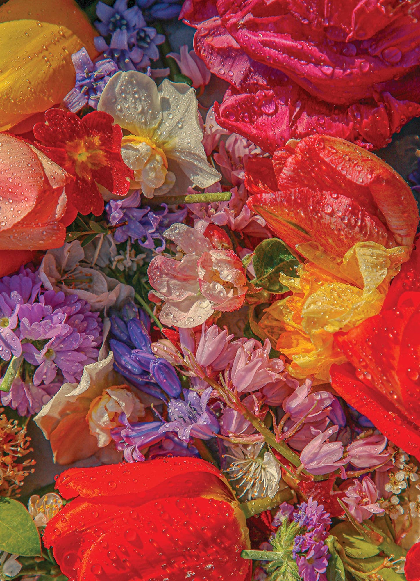 ✨NEW✨Blossom - 1000 Piece Puzzle