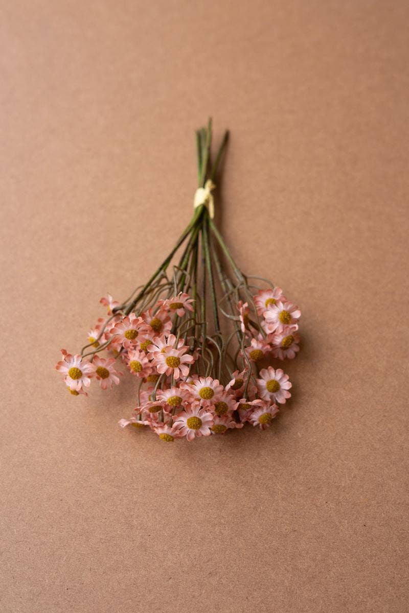 CHAMOMILE BUNDLE (6 STEMS) - BLUSH